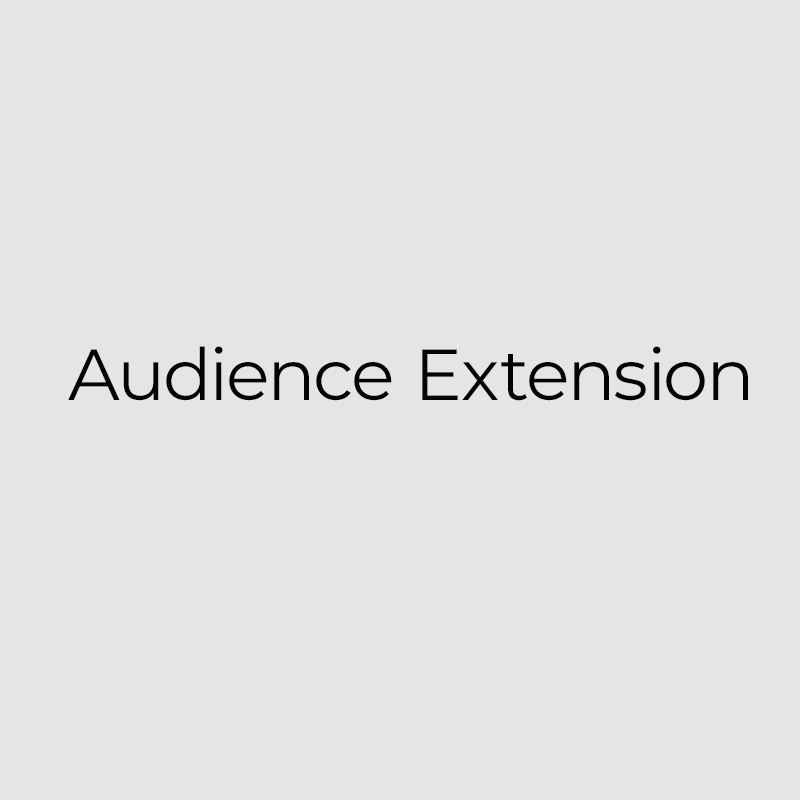 audience extension